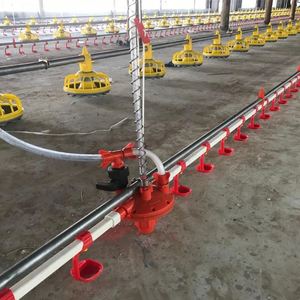 <span class=keywords><strong>Dutchman</strong></span> อุปกรณ์เลี้ยงสัตว์ปีกอัตโนมัติขนาดใหญ่ระบบน้ำออกแบบฟรีสำหรับบ้านสัตว์ปีก - Product Image 6