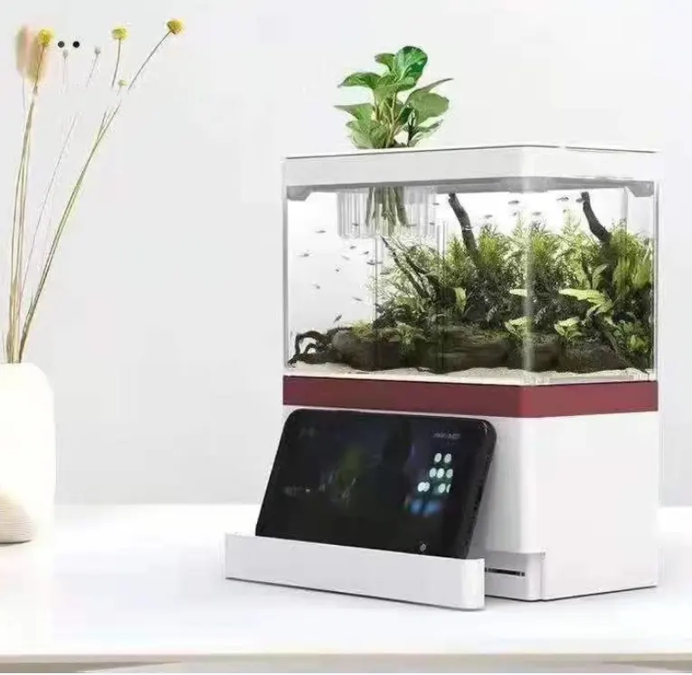 Zaohetian Fish Tank Hot selling modern desktop rechargeable acrylic Turtle tank USB Aquarium With LED Lamp Mini fish tanK