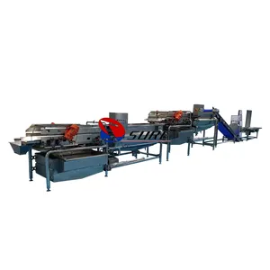 Automatic vegetables processing line cutting cleaning machine vegetables salad washing and dewater machine