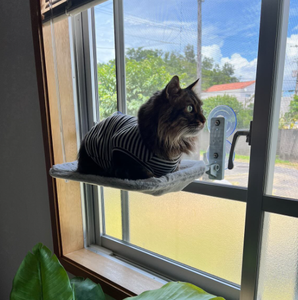 Hot Seller Cat Hängematte Klappbare Hängematte Hängende Nest Katzen bett Balkon Fenster Glas Cat Hängematte mit starkem Saugnapf - Product Image 2