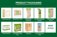 Papier jetable écologique enveloppé ou mini cuillère à crème glacée en bois en vrac