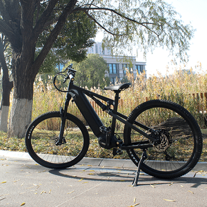 Ristar Customization Riemenantrieb E-Bike MTB 29 Zoll Mittelmotor Trekking E-Bike Herren Spezialisiertes Mountainbike RSD-409 Akku Fat Ti - Product Image 4