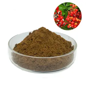 Nguyên Liệu Bán Buôn Guarana Chiết Xuất 10:1 Bột