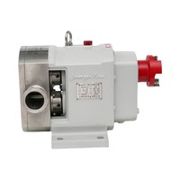 Pompa Rotary Lobe Food Grade Low Shear Stainless Steel 316L Pompa Volumetrik Sanitasi Untuk Penanganan Bubur dan Pure Buah