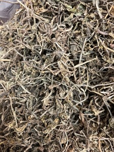 Erba Selvatica Chui Pen Cao, Sedum Sarmentosum Essiccato, Piante Intere in Vendita - Product Image 3