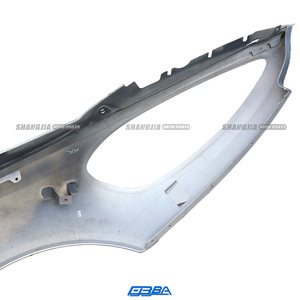 Guardabarros Originales para Aston Martin Rapide S 2013-2016, Plástico Blanco, Guardabarros Delantero Izquierdo, OE AD43-F16006-AD - Product Image 4