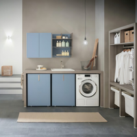 Armoire d'Évier de Buanderie Intelligente et Étanche pour Machine à Laver, Fabrication Chinoise