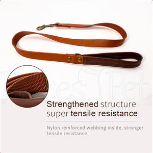 Accesorios para perros de alta calidad Diseños de hebilla de metal Correas de collar para mascotas al aire libre Correa de perro de cuero impermeable - Product Image 4