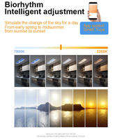 BBIER Virtual Circadian Sunlight LED Panneau de plafond Dynamic Sun Coelux Puits de lumière artificiels avec ciel bleu naturel
