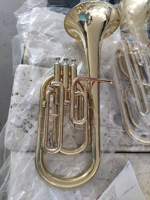 Yellow Brass BE Alto Horn Brass Instruments with Premium Case(AH-G400G-YRY)