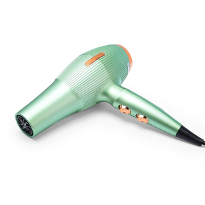 Sèche-cheveux à haute vitesse Pratique Régulation de la température et de la vitesse Sèche-cheveux pour salon de soins capillaires à usage domestique - Product Image 6