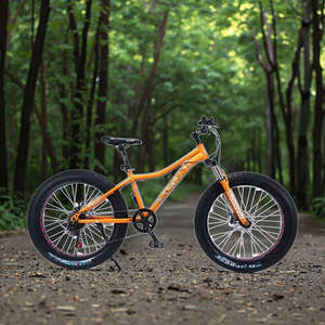 Fabricants de fourches en acier de 24 et 26 pouces, vente en gros, vélo de montagne et de plage à gros pneus larges de 4,0 pouces avec <span class=keywords><strong>roue</strong></span> creuse - Product Image 1