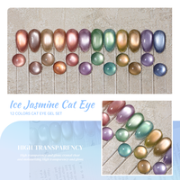 Ensemble de vernis gel Hanbi Ice Jasmine Cat Eye, 12 couleurs, perles de verre, holographie, style estival, gel magnétique réfléchissant effet diamant
