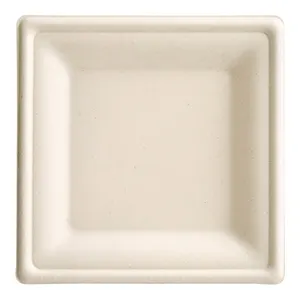 6 inch 100% biodegradable Compostable disposable bagasse sugarcane paper square plate