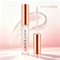 Gloss à lèvres repulpant transparent effet verre, hydratant et volumisant, non collant, avec logo personnalisé, vente en gros OEM