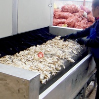Ligne de séchage Shouchuang Porang Séchoir à légumes Porang Konjac d'une capacité de 50 tonnes