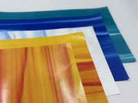 Bâche en PVC pour matériau gonflable 610GSM M2 Cadre retardateur tissé 0.55mm