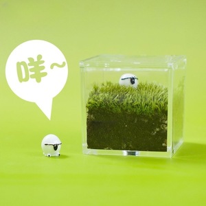 Desktop moss miniature landscape, office worker's ox and horse creative green plant ornament, DIY gift, graduation season gift - Product Image 3
