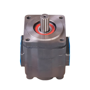 Hydraulic Gear <b>Pump</b> P3160 11C0007 OEM Spare Part for Wheel Loader Hydraulic System - Product Image 5