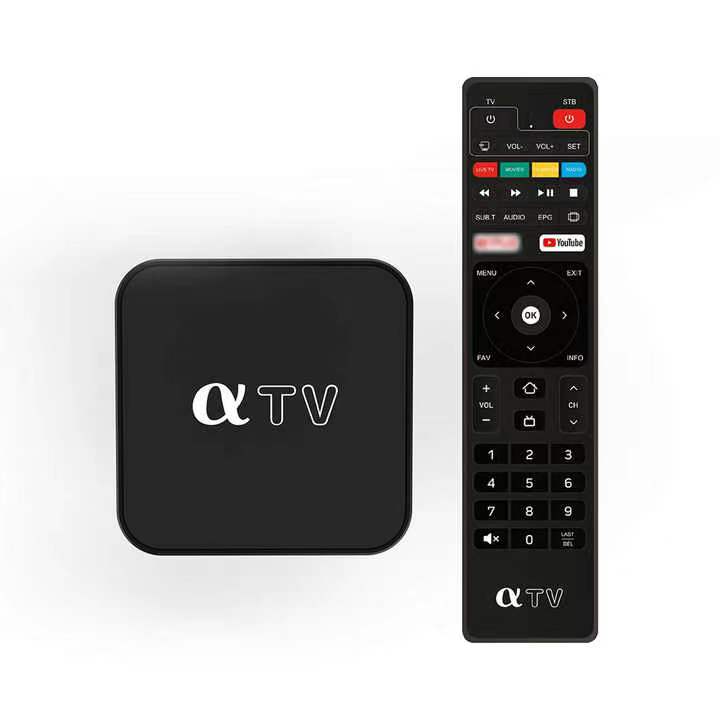 Linux TV Box OS4.9 2.4gHZ wifi H313 4K smart TV box 1G + 8G supporto IP/TV con 5000 + canali live set top box