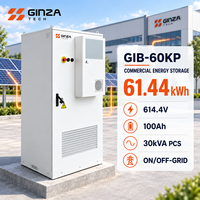 Système de stockage d'énergie solaire GINZA GIB-60KP 61,44 kWh, armoire de stockage d'énergie LiFePO4 614,4 V 100 Ah 30 kVA PCS hors réseau avec BMS