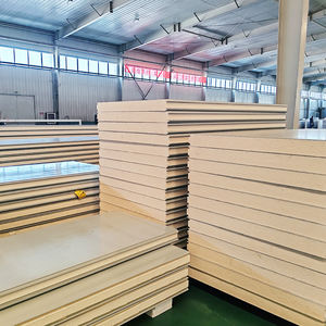 Panel Aislante para Cuarto Frío, Ignífugo, de Poliuretano (PU), para Carne, Aislamiento Térmico Decorativo - Product Image 6