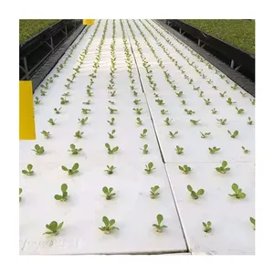 Agriculture indoor farms hydroponic vertical growing systems for sale