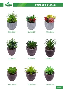 Tizen prezzo all'ingrosso su misura fiori finti piante succulente artificiali in vaso per la decorazione interna esterna