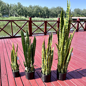 Planta Artificial de <span class=keywords><strong>Sansevieria</strong></span> en Maceta Negra de Plástico, Bonsái Decorativo para Jardín, Gran Venta - Product Image 6
