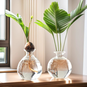 Jarrón Hidropónico <span class=keywords><strong>de</strong></span> Vidrio, Moderno y Decorativo, Recipiente Transparente para Cultivo <span class=keywords><strong>de</strong></span> Plantas, Semillas <span class=keywords><strong>de</strong></span> <span class=keywords><strong>Aguacate</strong></span>, Hogar y Oficina - Product Image 1