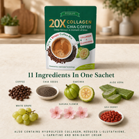 Mélange de café au collagène et chia 20X, 11 en 1, boîte de 120 g, 10 sachets, fournisseur en gros OEM, directement de l'usine