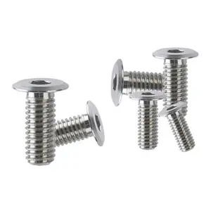 Excellent Quality Socket Cap Stainless Steel Low Head Cap Screw Misumi CBSTSR2-4