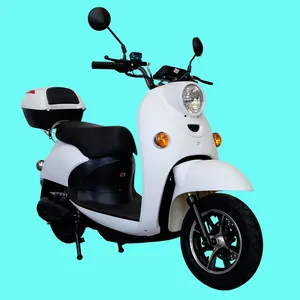 E ciclomotore bici elettrica da città scooter elettrici per adulti 2 posti con pneumatico grasso
