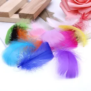 Diy Color Small Feather Small Floating Feather Goose Feather Stage Wedding Wave Ball Filling Material