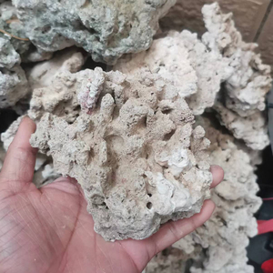 Roc vivant à haute teneur en calcium pour la production d'algues, pour les aquariums marins et la décoration des réservoirs de corail, avec des pierres décoratives pour les aquariums - Product Image 6