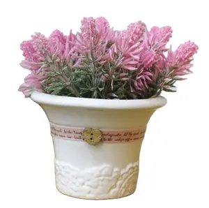 Potes de cerâmica pequenos brancos do gaze da flor grande parte superior pequena suculentas em vaso