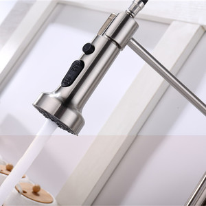 <span class=keywords><strong>Grifos</strong></span> <span class=keywords><strong>de</strong></span> fregadero <span class=keywords><strong>de</strong></span> cocina <span class=keywords><strong>de</strong></span> palanca única, contemporáneo, OEM, <span class=keywords><strong>grifos</strong></span> extraíbles, barra <span class=keywords><strong>de</strong></span> utilidad <span class=keywords><strong>de</strong></span> lavandería <span class=keywords><strong>de</strong></span> satén <span class=keywords><strong>de</strong></span> primavera - Product Image 5
