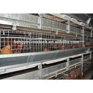 Cages à poulets de type A/H, fil de fer galvanisé de haute qualité, installation facile, marque Hengyin, haute productivité pour l'élevage de poulets - Product Image 2