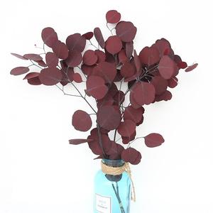 <span class=keywords><strong>Bouquet</strong></span> di Steli di Eucalipto Preservato Silver Dollar all'Ingrosso in Scatola, Grado A, Durata 3-5 Anni - Product Image 2