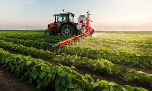 Spectrum Biocontrol, agente microbiano probiótico líquido con ácido húmico para enfermedades transmitidas por el suelo, fertilizante orgánico para el crecimiento de cultivos - Product Image 6