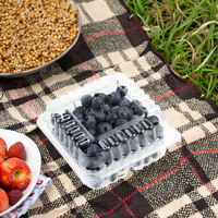 China Fabriek Hoge Kwaliteit Wegwerp Food Grade Pet Plastic 125G 6Oz Bosbessen Clamshell Geventileerde Bessenverpakking