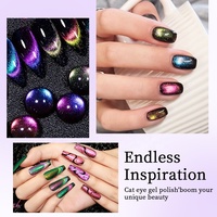 Vernis à ongles gel R S Nail 9D effet œil de chat, couleurs classiques effet caméléon magique galaxie, nail art à retirer par trempage, gel œil de chat magnétique