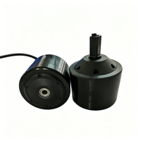 Moteur de roue EV 75 mm, contrôleur de scooter électrique, moteur de robot, motorisation pour automatisations, composants de drone, système servo