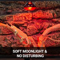 Lampe chauffante infrarouge REPTIZOO 75W rouge avec culot E27 E26 pour dragon barbu, gecko, serpent, tortue, poulailler
