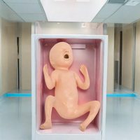 Modèle avancé de bébé prématuré de 24 semaines DARHMMY pour la formation en sciences médicales