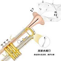 High Grade Trombone Music Instruments Performance Grade Professional Brass Trombone Set
