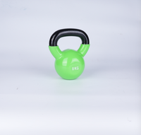 Kettlebell en acier recouvert de vinyle PVC, durable et écologique, 12 kg, portable, usage commercial, idéal pour un entraînement complet du corps, directement de l'usine