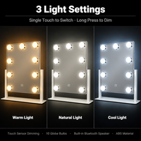 Miroir de Maquillage LED à 9 Ampoules avec Haut-Parleur Bluetooth, Tactile et Dimmable, Rechargeable Type-C, Idéal pour Salon et Diffusion en Direct (Vente en Gros)