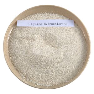 25kg túi thức ăn lớp L-Lysine HCL 98.5% axit amin thức ăn phụ gia bột - Product Image 2