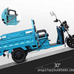 最佳价格双减震货运三轮车电动重型电动自行车电动三轮车2人/差速器 - Product Image 2